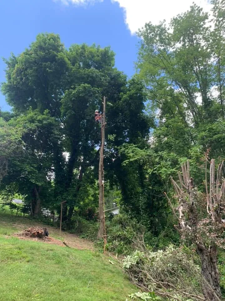 Trusted garden landscaping with custom design in Beckley, WV by Top Line Tree Service