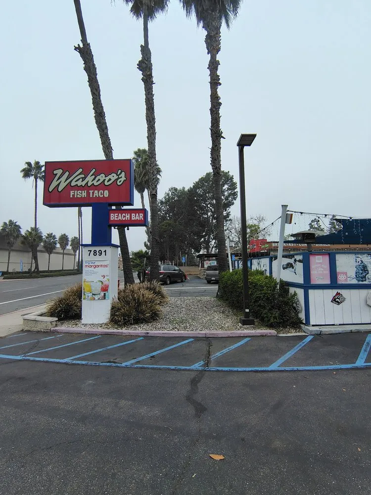 Top-rated garden landscaping in Costa Mesa, CA - Top Mark Landwork