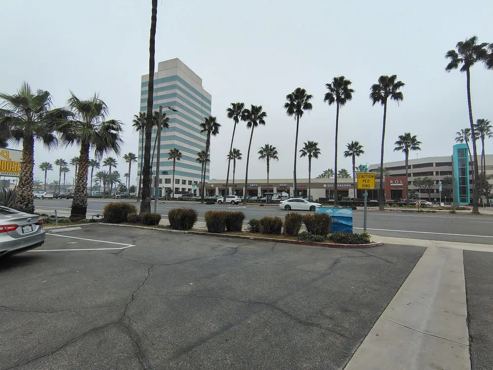 Top-rated lawn care service in Costa Mesa, CA - Top Mark Landwork