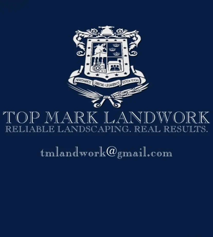 Custom lawn care service experts serving Costa Mesa, CA - Top Mark Landwork