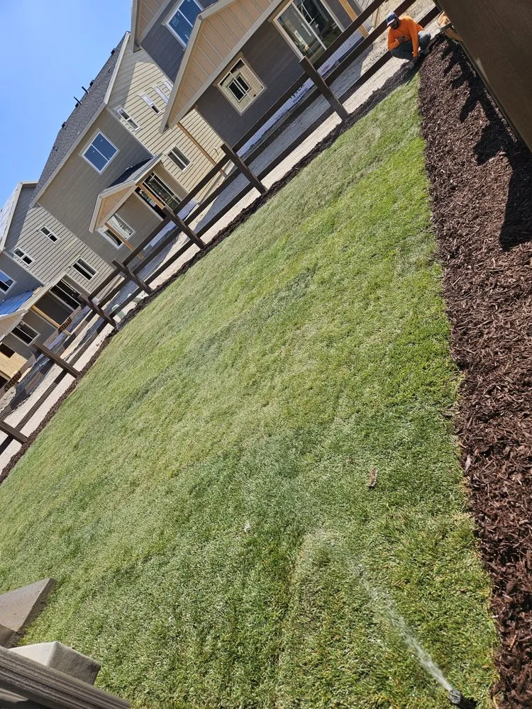 Reliable yard maintenance for year-round maintenance in Colorado Springs, CO by Top Master Hardscaping & Landscaping