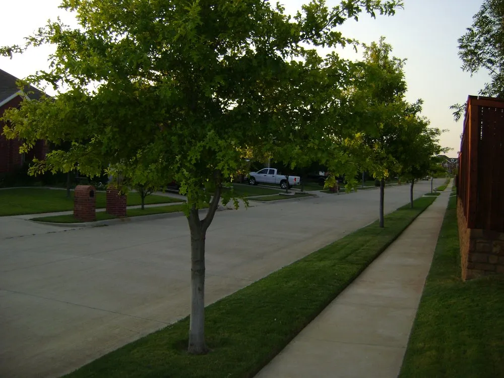 Trusted garden landscaping in Keller, TX - Top Mowing