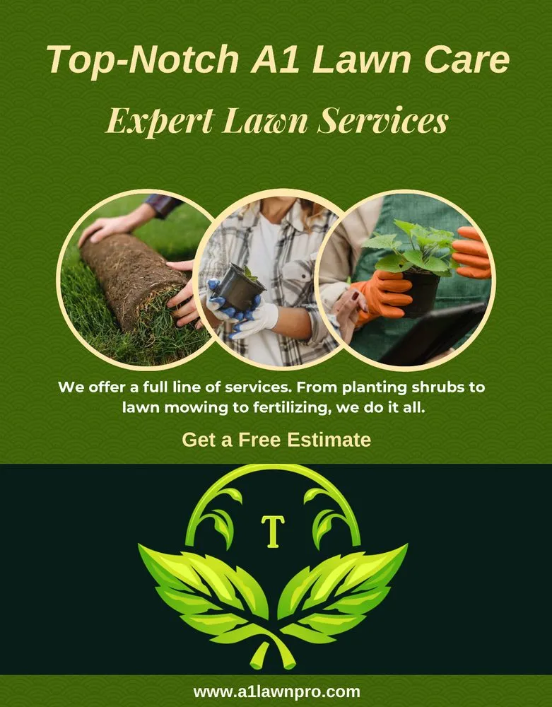 Top-rated landscaping services in Fayetteville, GA - Top Notch A1 Lawn Care