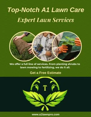 Top Notch A1 Lawn Care Logo
