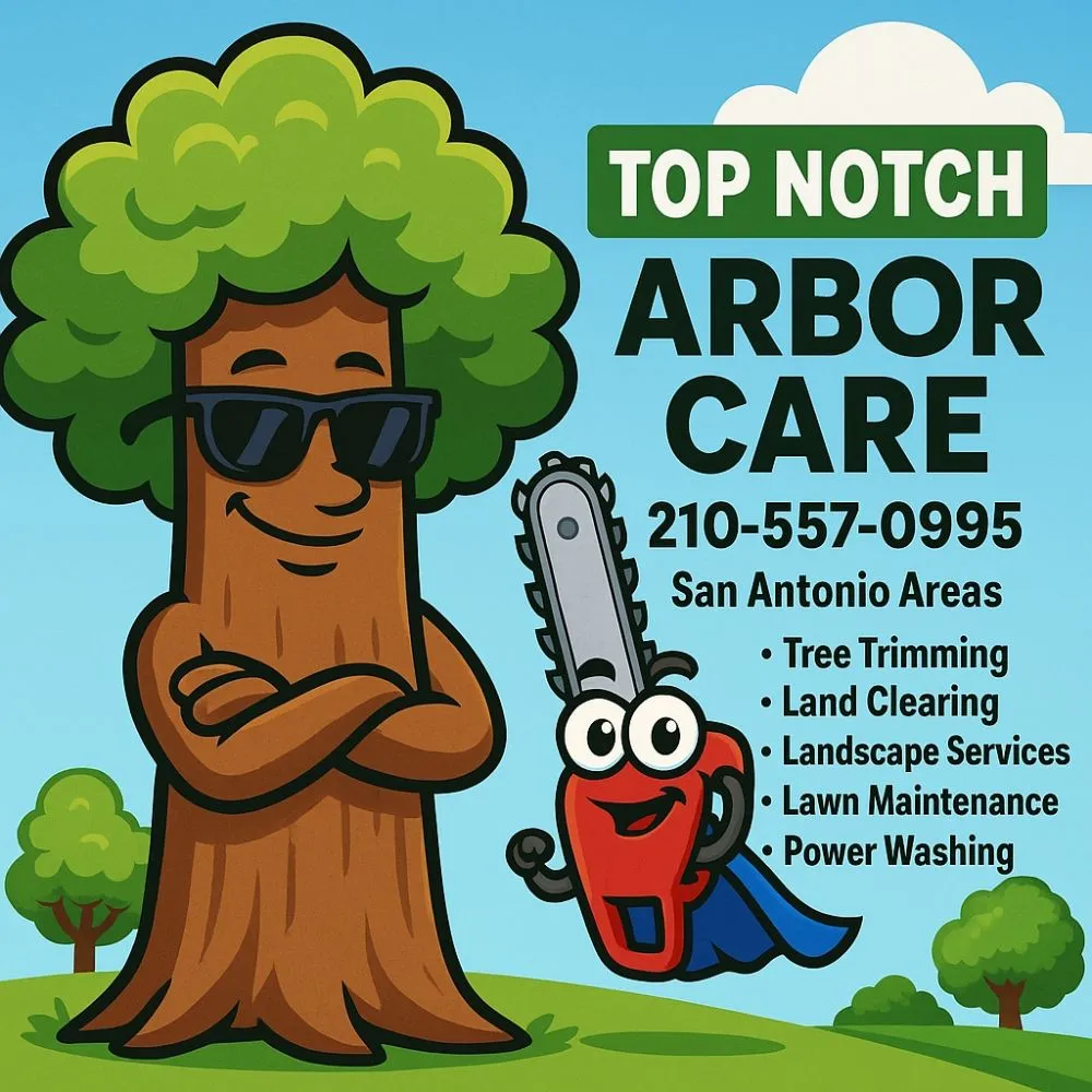 Local yard cleanup service near you in San Antonio, TX by Top Notch Arbor Care