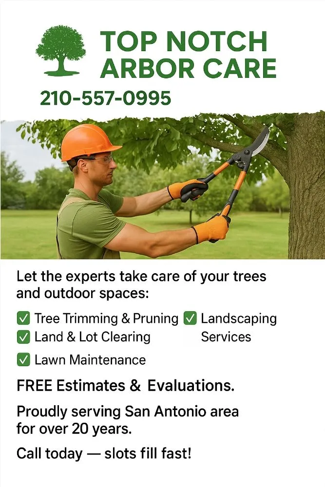 Affordable landscaping services for year-round maintenance in San Antonio, TX by Top Notch Arbor Care
