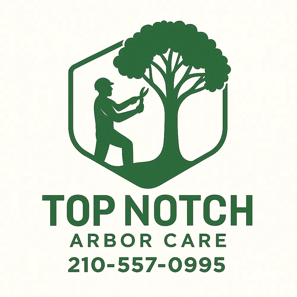 Trusted garden landscaping experts serving San Antonio, TX - Top Notch Arbor Care