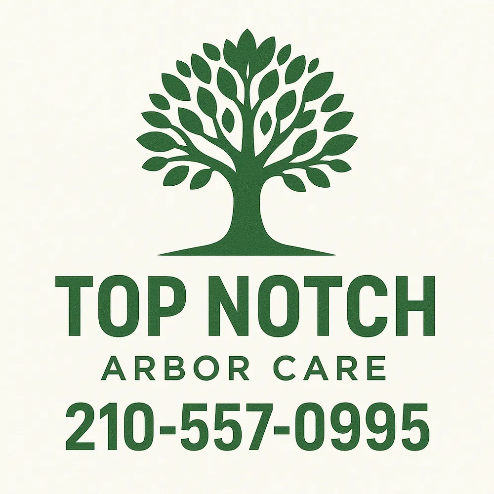 Top-rated lawn mowing service in San Antonio, TX - Top Notch Arbor Care