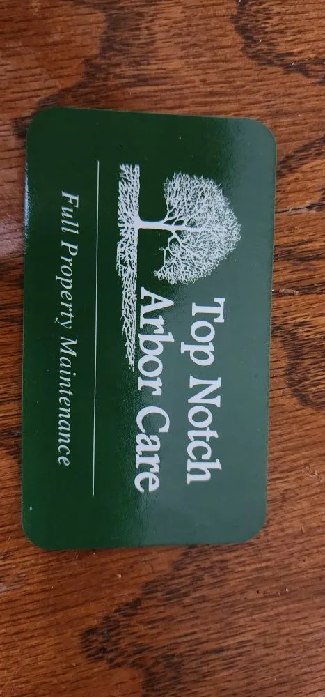 Trusted landscaping services for outdoor upgrades in San Antonio, TX by Top Notch Arbor Care