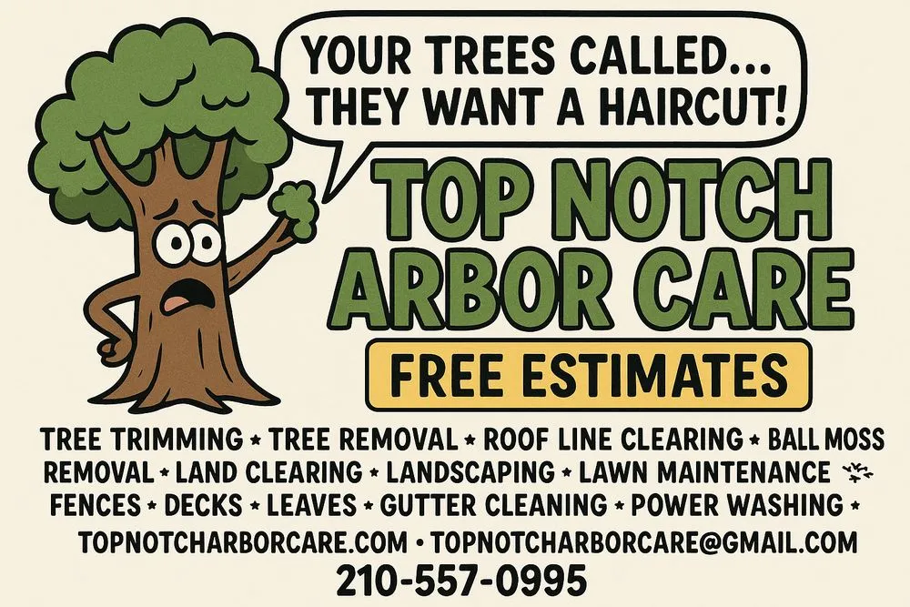 Local landscape design experts serving San Antonio, TX - Top Notch Arbor Care