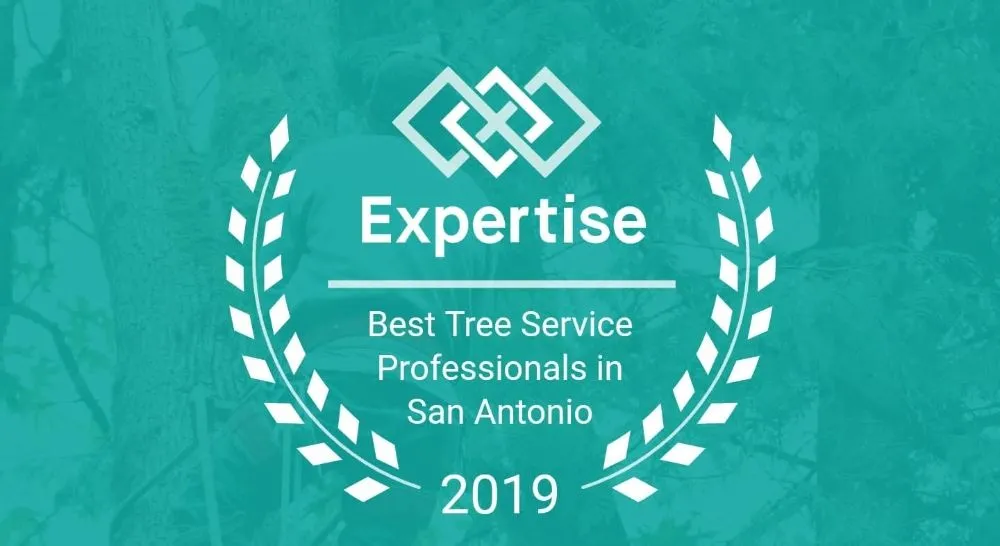 Expert landscape design for homes across San Antonio, TX - Top Notch Arbor Care