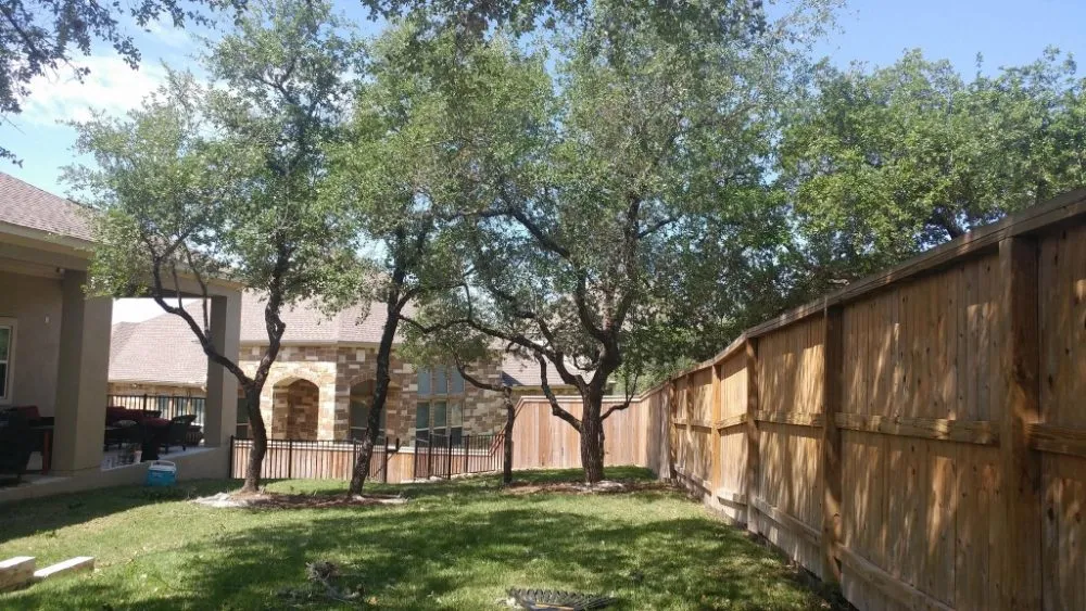 Local landscape design for residential properties in San Antonio, TX by Top Notch Arbor Care