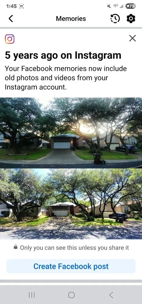 Custom landscape design in San Antonio, TX by Top Notch Arbor Care