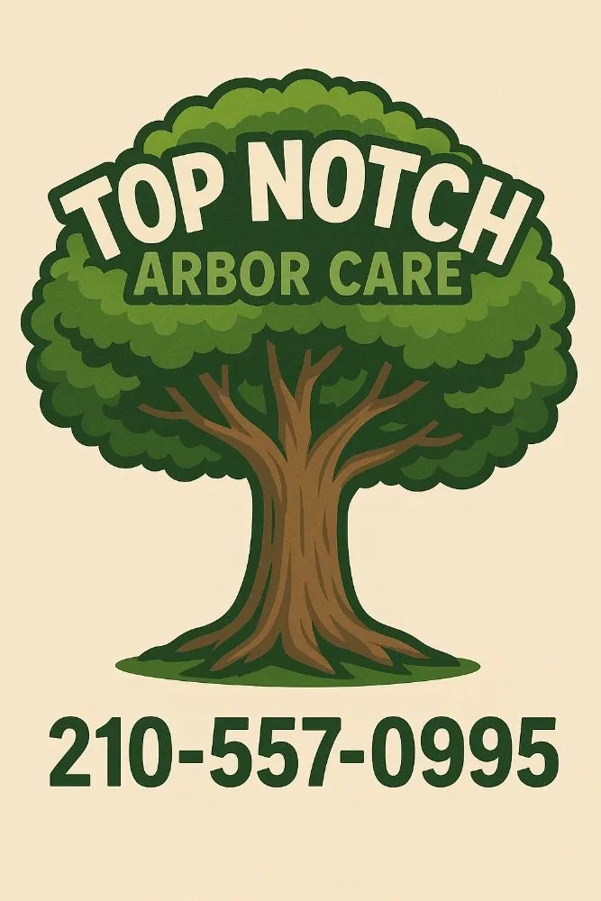 Expert landscaping services in San Antonio, TX by Top Notch Arbor Care
