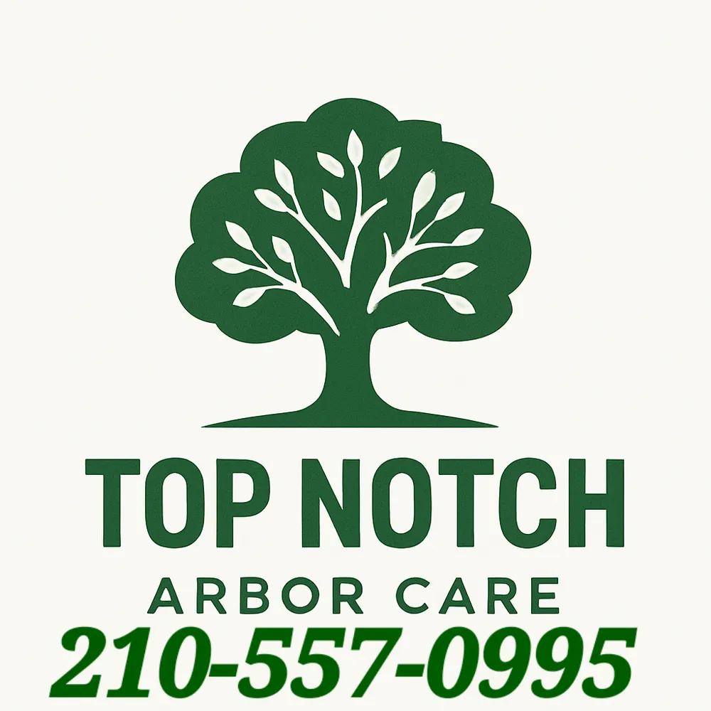 Custom garden landscaping experts serving San Antonio, TX - Top Notch Arbor Care