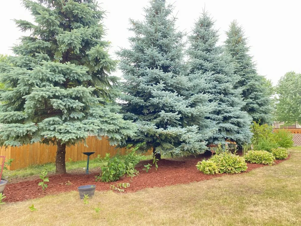 Top-rated lawn care service experts serving Sun Prairie, WI - Top Notch Cleaning & Landscaping