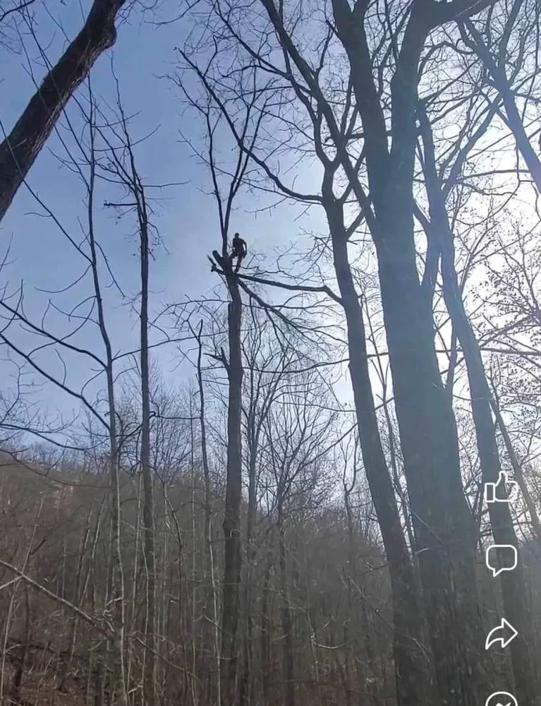 Top-rated landscape design experts serving Franklin, NC - Top Notch Cuts