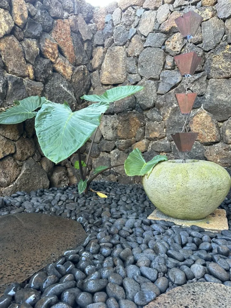 Trusted outdoor landscaping in Hanapepe, HI by Top-Notch Landscape & Maintenance