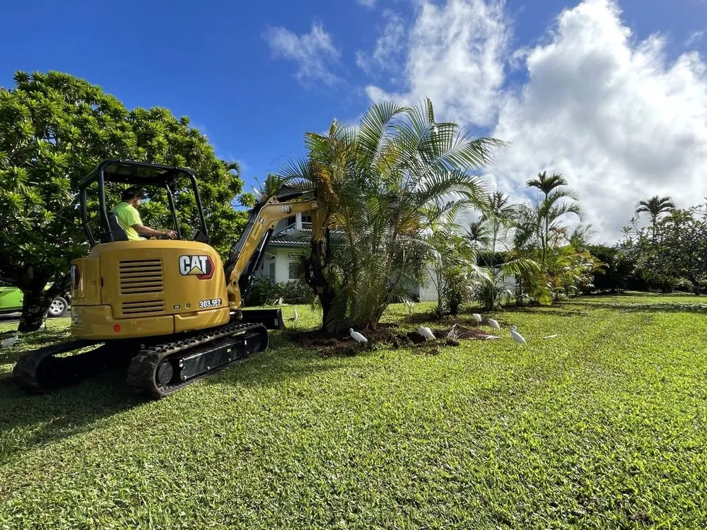 Trusted yard maintenance experts serving Hanapepe, HI - Top-Notch Landscape & Maintenance