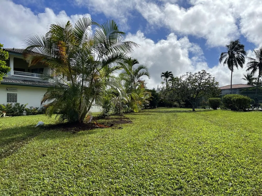 Custom landscaping services in Hanapepe, HI - Top-Notch Landscape & Maintenance