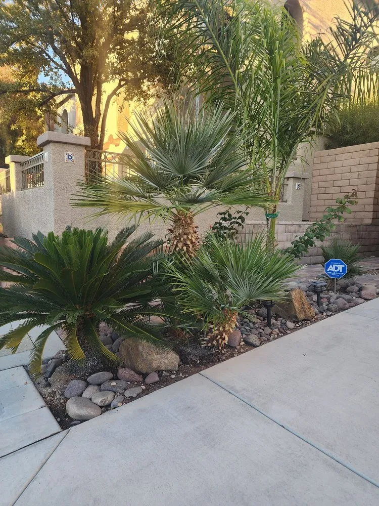 Top-rated landscape installation for outdoor upgrades across Las Vegas, NV - Top Notch Landscape