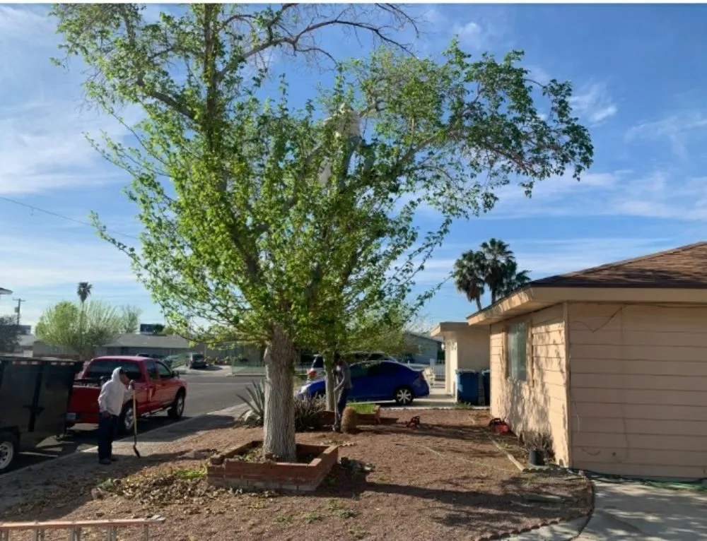 Top-rated residential landscaping for homes across Las Vegas, NV - Top Notch Landscape