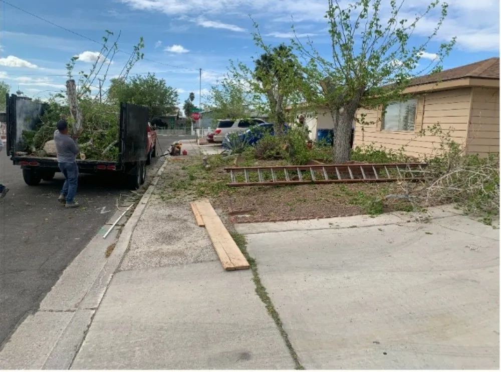 Reliable garden landscaping in Las Vegas, NV - Top Notch Landscape