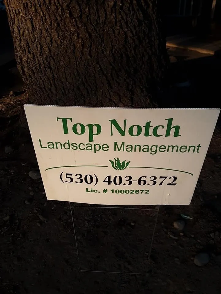 Professional lawn care service for beautiful yards across Oroville, CA - Top Notch Landscape Management