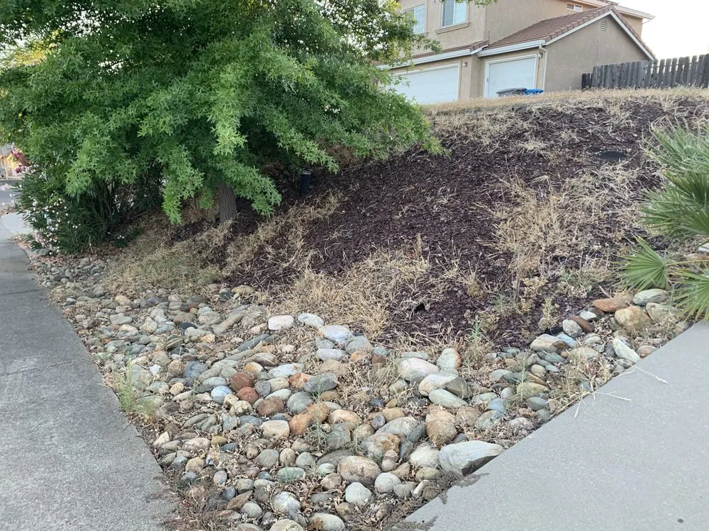 Professional landscaping services with custom design in Oroville, CA by Top Notch Landscape Management