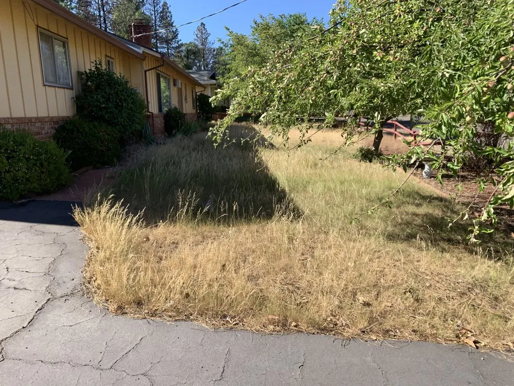 Trusted lawn mowing service for outdoor upgrades in Oroville, CA by Top Notch Landscape Management