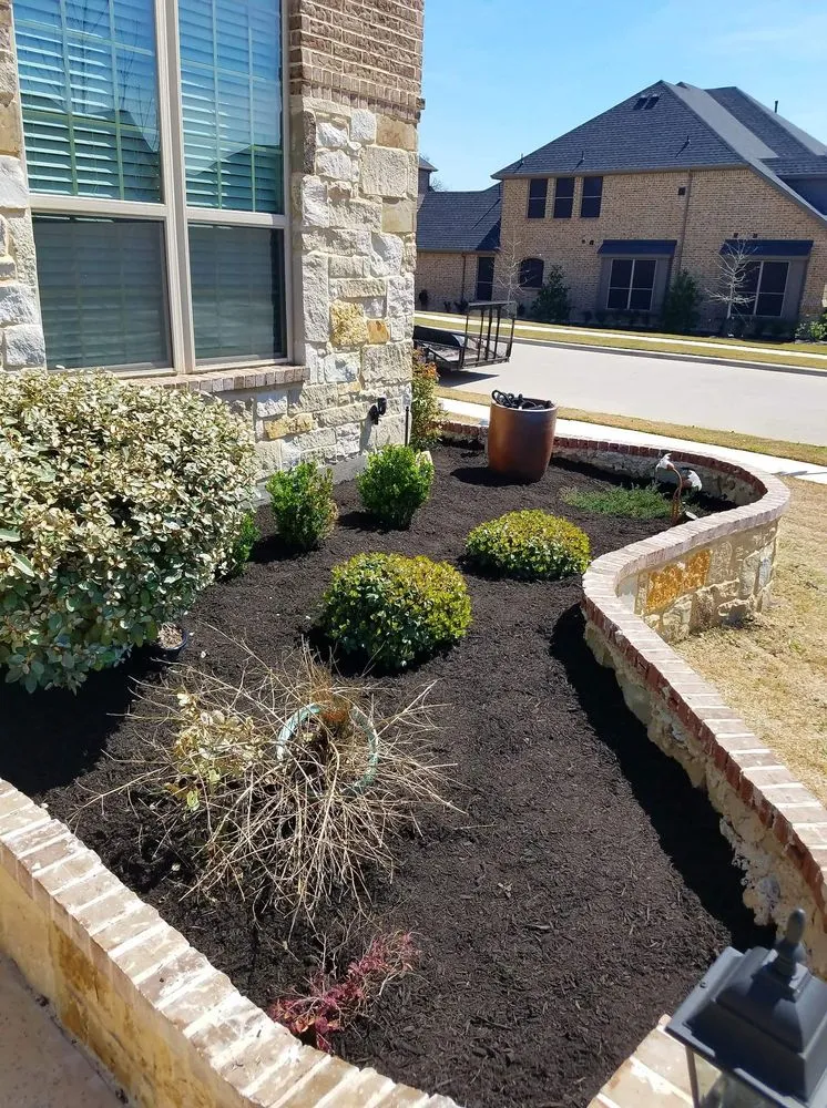 Expert lawn care service in San Antonio, TX by Top-Notch Landscape