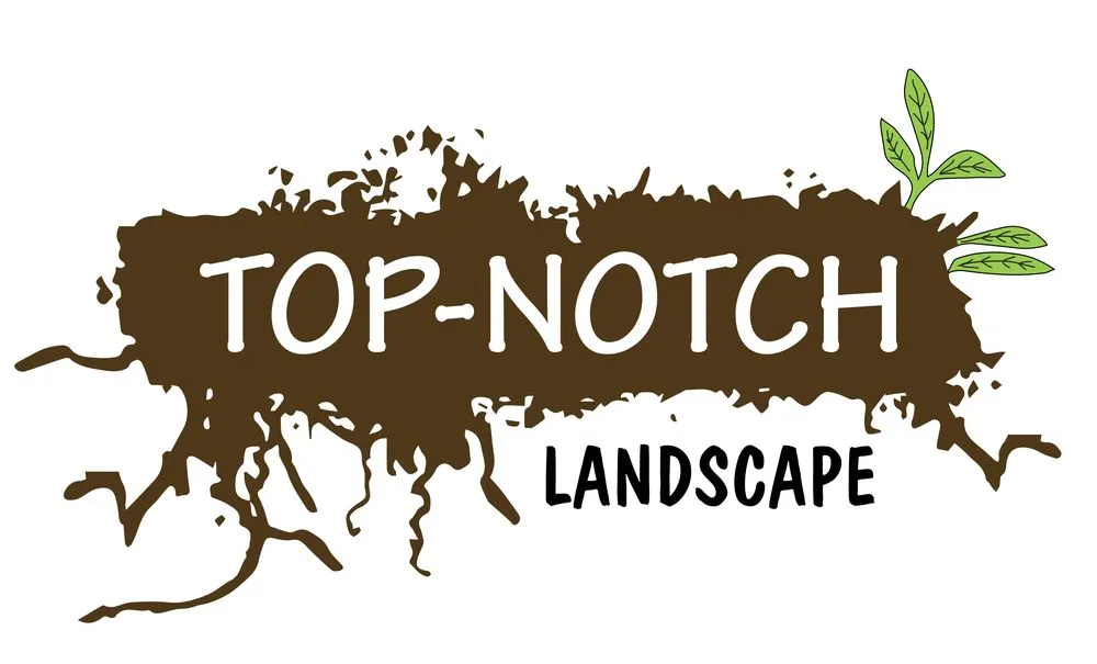 Reliable landscape installation experts serving San Antonio, TX - Top-Notch Landscape