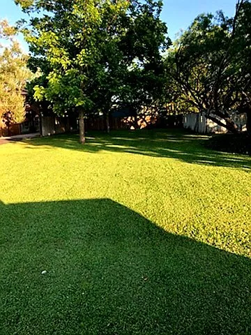 Professional garden landscaping for outdoor upgrades across San Antonio, TX - Top-Notch Landscape