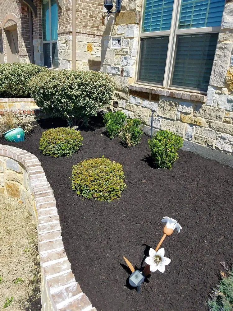 Top-rated residential landscaping in San Antonio, TX - Top-Notch Landscape