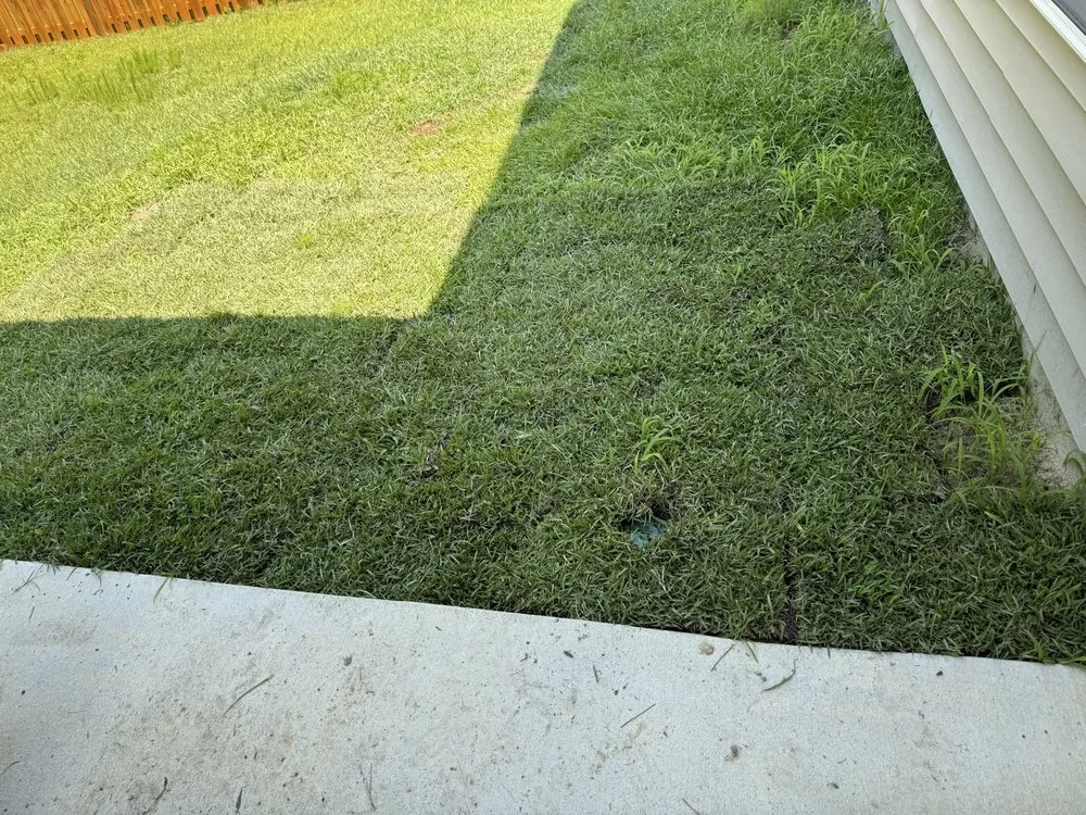 Reliable garden landscaping in Sneads Ferry, NC by Top Notch Landscape