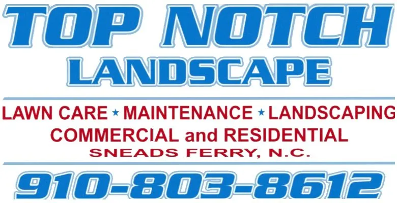 Custom yard cleanup service in Sneads Ferry, NC - Top Notch Landscape