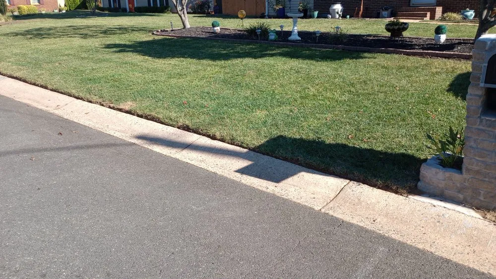 Professional landscaping services in Charlotte, NC - Top Notch Landscaper