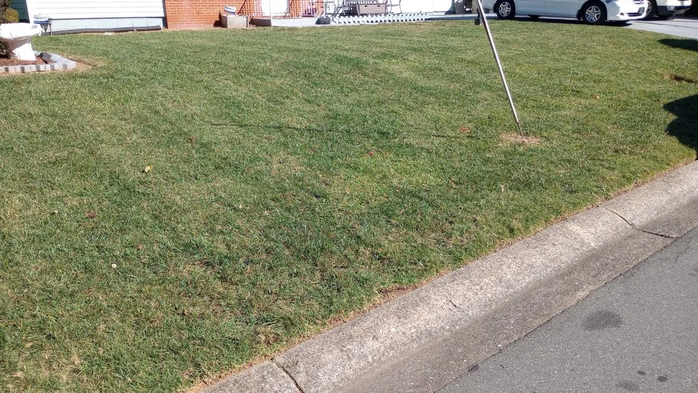 Reliable garden landscaping in Charlotte, NC - Top Notch Landscaper