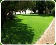 Professional yard cleanup service for beautiful yards across Big Spring, TX - Top Notch Landscaping & Construction