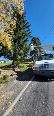 Top-Notch Landscaping & Property Maintenance