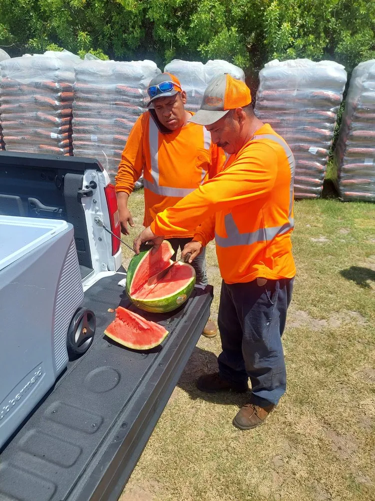 Reliable landscape installation in Fort Pierce, FL - Top Notch Landscaping and Irrigation