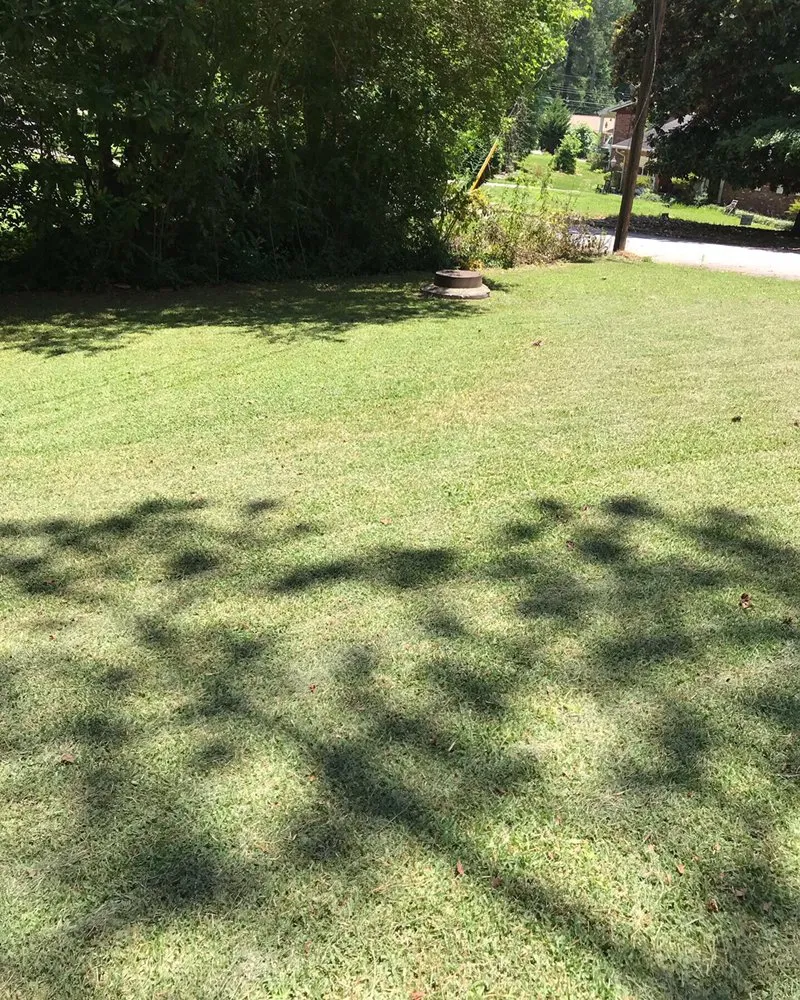 Trusted landscape installation in Atlanta, GA by Top Notch Landscaping and Pressure Washing