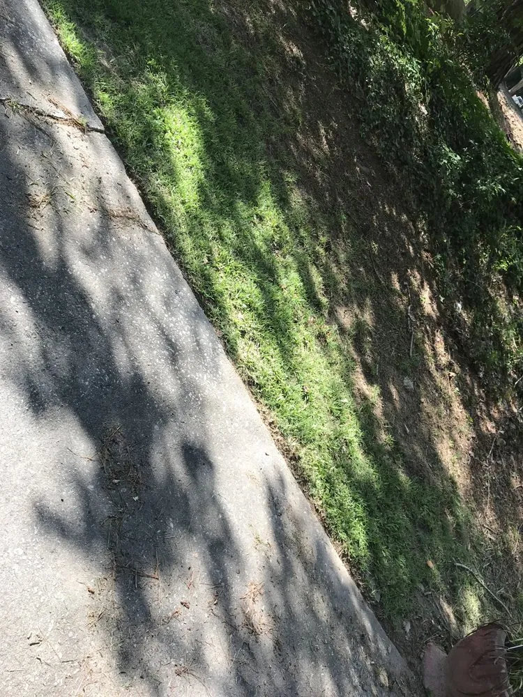 Affordable landscape installation experts serving Atlanta, GA - Top Notch Landscaping and Pressure Washing