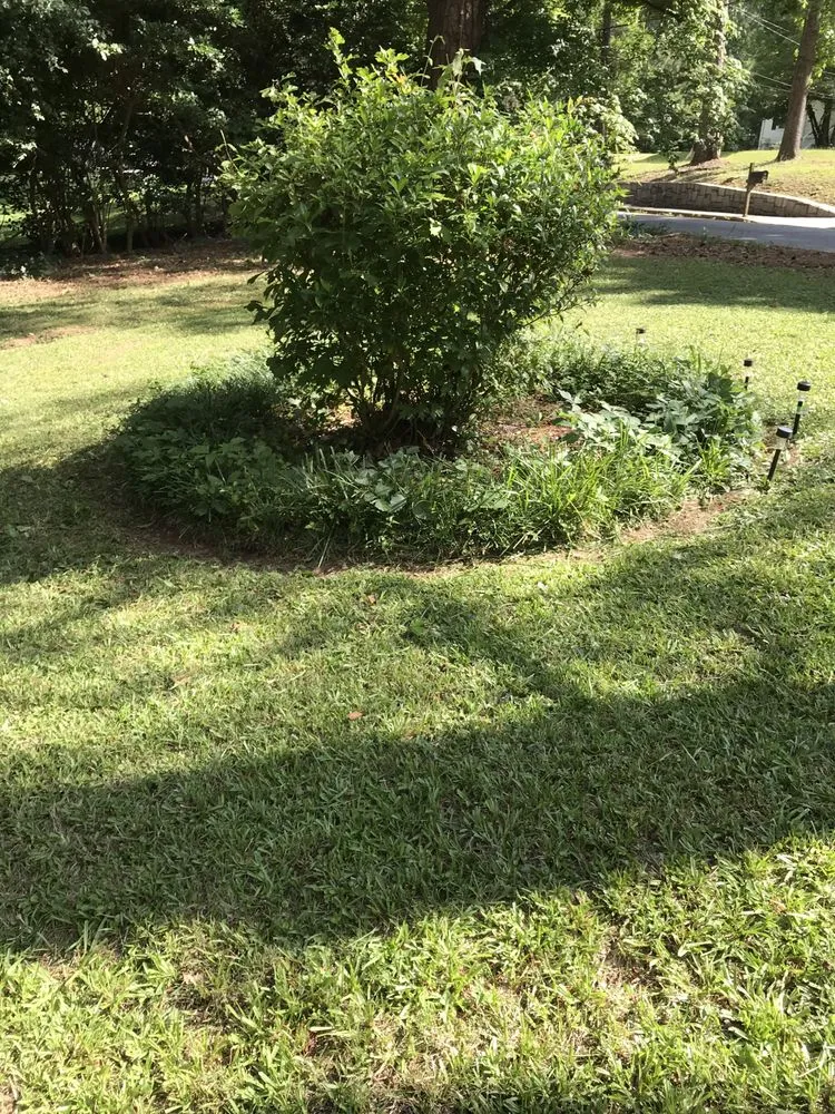 Local yard cleanup service for homes across Atlanta, GA - Top Notch Landscaping and Pressure Washing