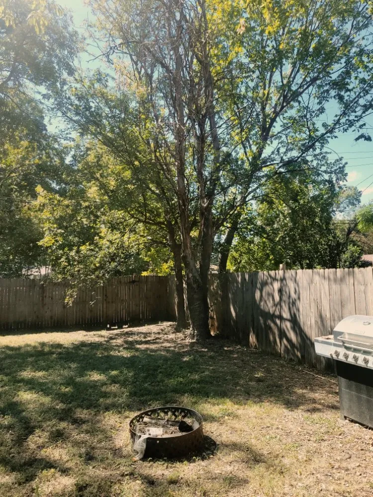 Local landscape installation experts serving Denison, TX - Top Notch Landscaping