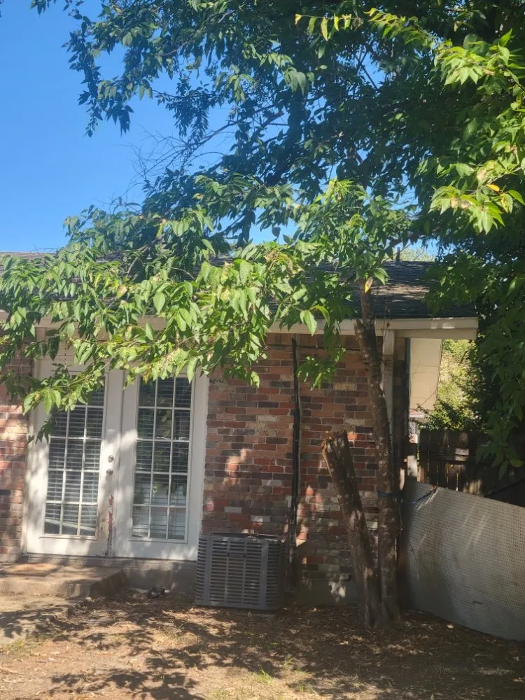 Expert yard maintenance in Denison, TX by Top Notch Landscaping