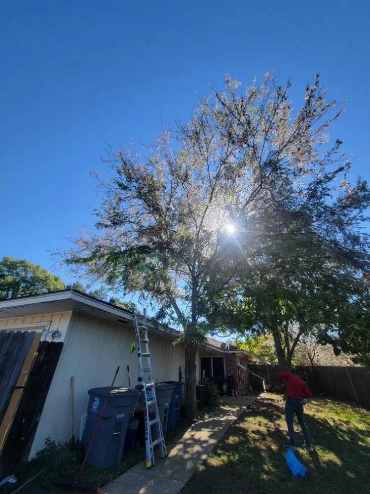 Trusted landscaping services for residential properties across Denison, TX - Top Notch Landscaping