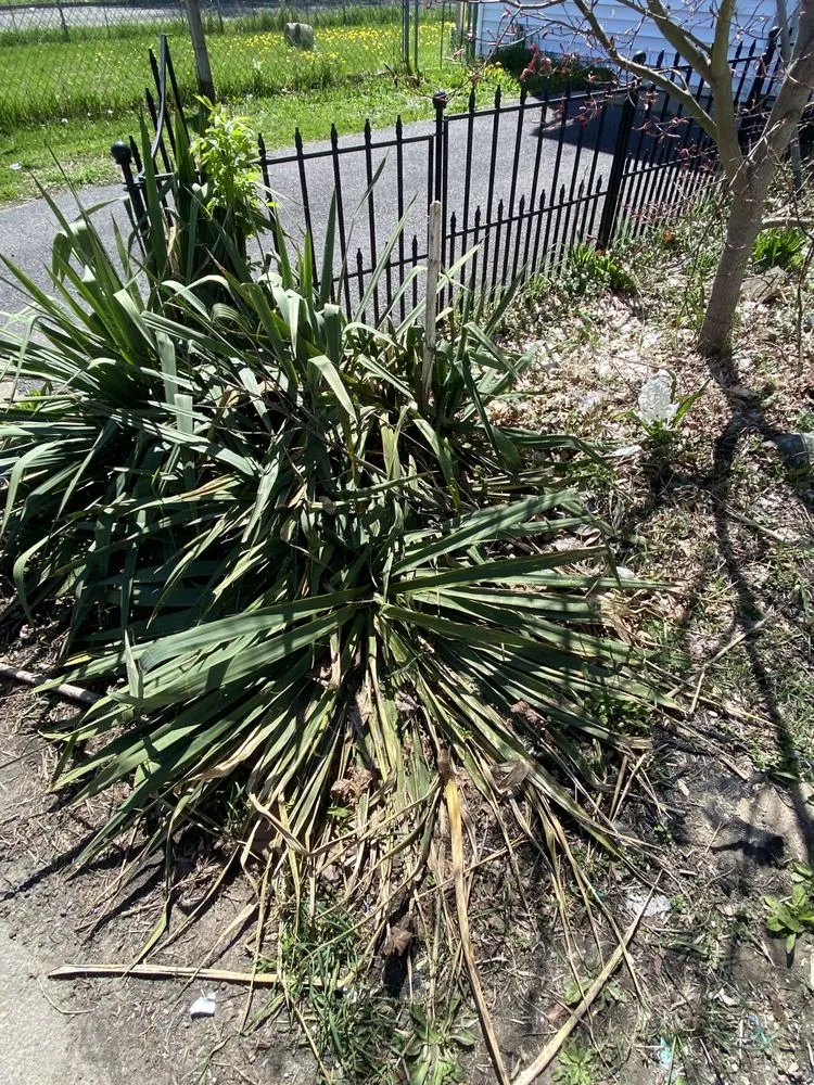 Trusted outdoor landscaping near you across Maine, NY - Top Notch Landscaping