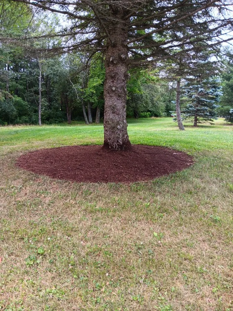 Expert landscape design in Maine, NY - Top Notch Landscaping