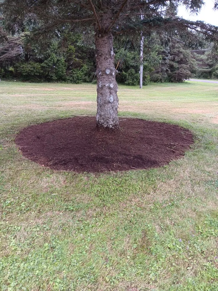 Top-rated landscape installation in Maine, NY by Top Notch Landscaping